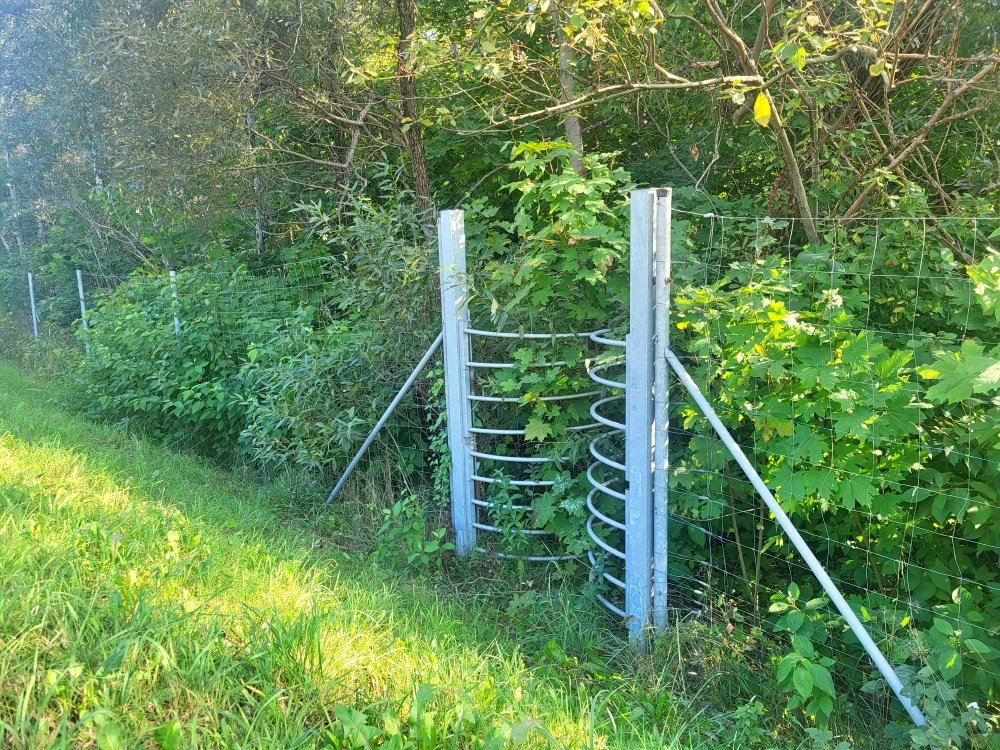 20240918_153906 - Metallum Novum Vienkrypčiai gyvūnų praėjimo varteliai