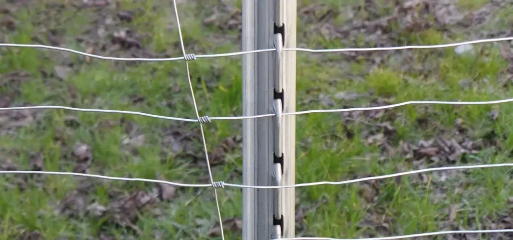 Miškinis tinklas (L tipo), nuotrauka 8