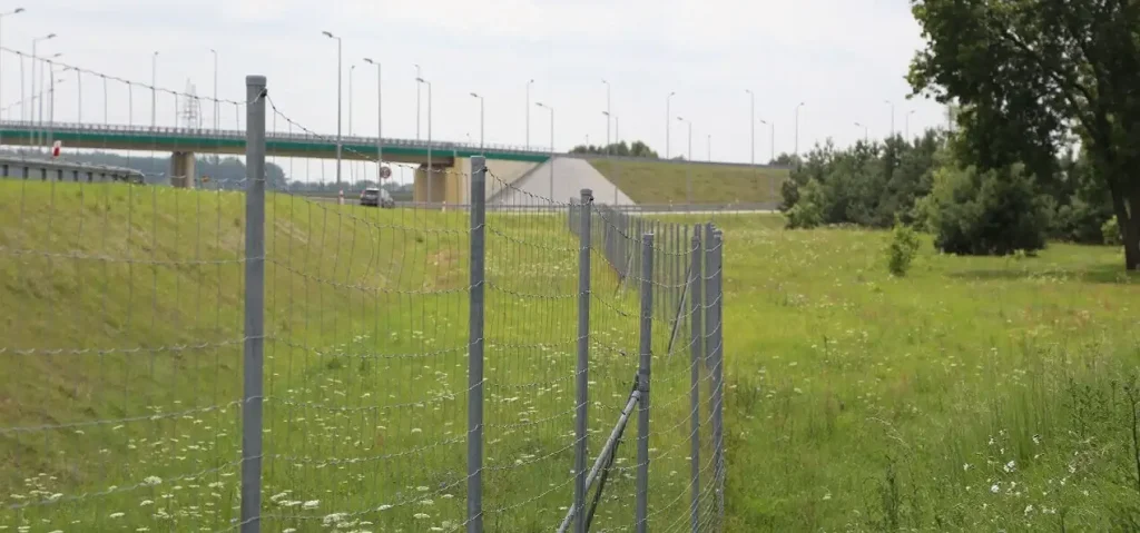 Miškinis tinklas (L tipo), nuotrauka 10