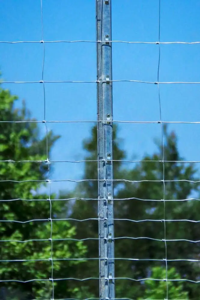 Miškinis tinklas (L tipo), nuotrauka 1