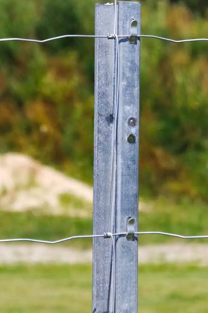 Miškinis tinklas (L tipo), nuotrauka 2